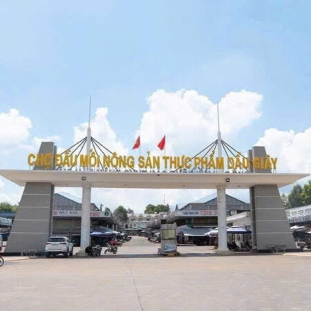 Khu Đô Thị The Link City Dầu Giây. Ngay TTHC, chợ đầu mối nông sản Dầu Giây, cao tốc Dầu Giây –