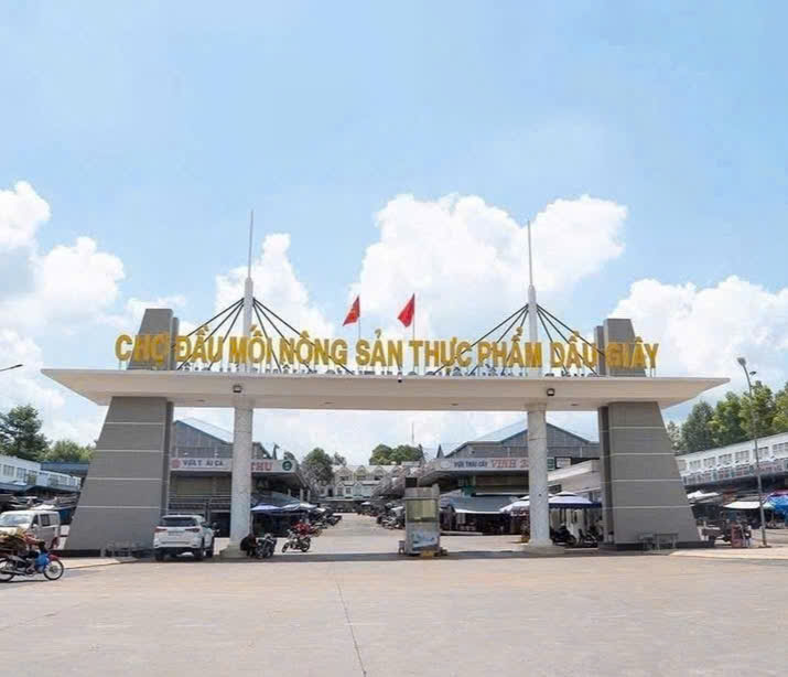 Khu Đô Thị The Link City Dầu Giây. Ngay TTHC, chợ đầu mối nông sản Dầu Giây, cao tốc Dầu Giây –
