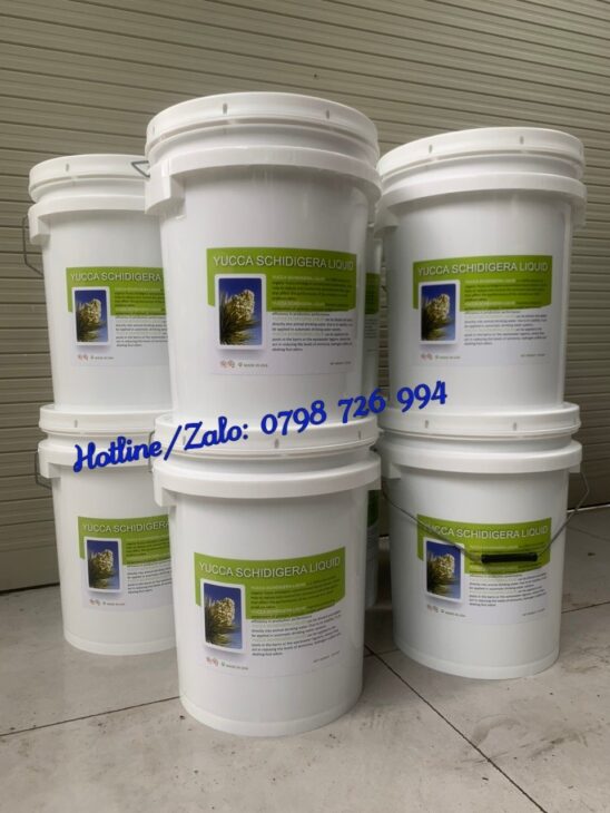 Yucca Nguyên Liệu, Yucca Mỹ, Yucca Bột, Yucca Nước, Yucca Lỏng, Yucca DK, Yucca Desertking
