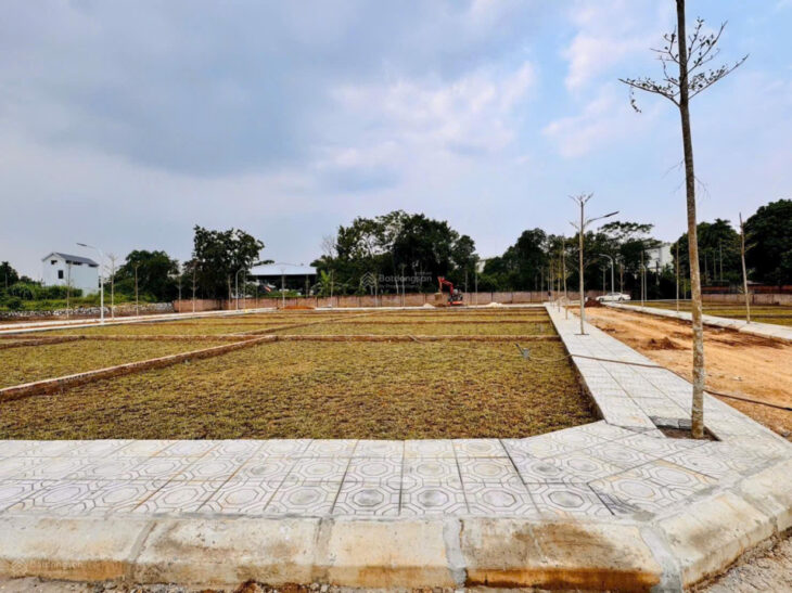 Bán đất thổ cư 100m2 mặt đường 21A, Phú Cát, Quốc Oai, Hà Nội. Sổ đỏ, giá 3 tỷ. LH: 0944090291