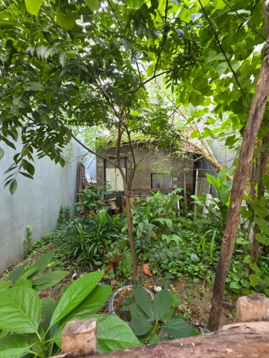 BÁN ĐẤT Tư Đình 56 m2 mặt tiền 4.8 m,10.7 tỷ Long Biên.