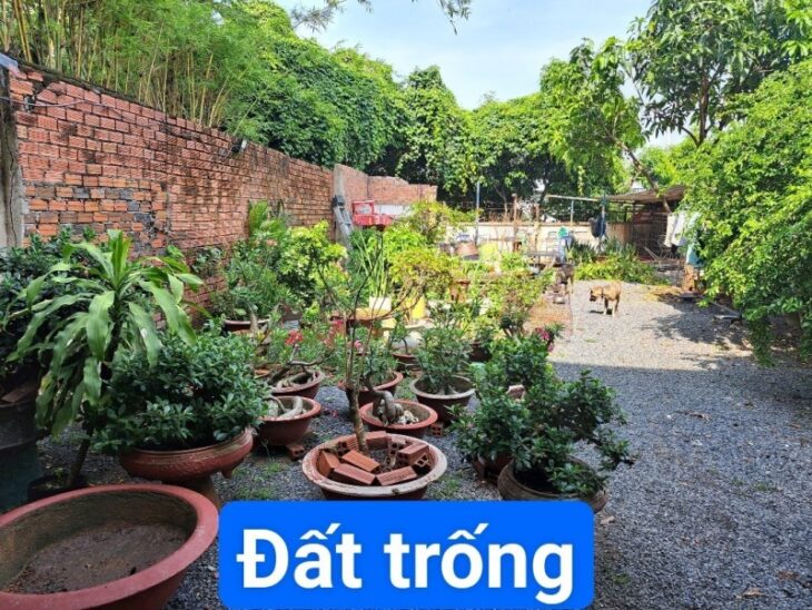 Mặt tiền Đặng Văn Bi, Thủ Đức, Gần Metro Thủ Đức, 440m2 – Giá thương lượng.