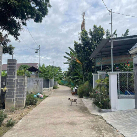 cần bán lô đất Diên an-Diên khánh- Nha Trang Dt:254m có thổ ngang 5m nở hậu 7,6m Đường bê tông 6m