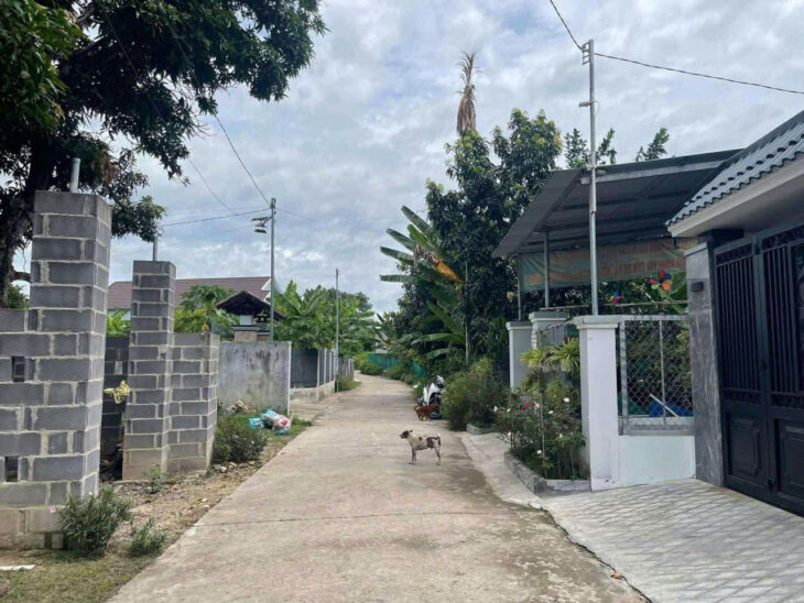 cần bán lô đất Diên an-Diên khánh- Nha Trang Dt:254m có thổ ngang 5m nở hậu 7,6m Đường bê tông 6m