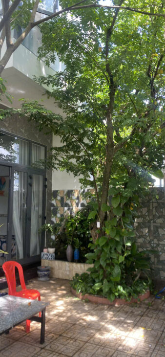 Bán nhà Tâm Huyết Vĩnh Thạnh – Tây Nha Trang – Khánh Hoà Dt : 125m2 ngang 8,9m xe oto dậu đc trong