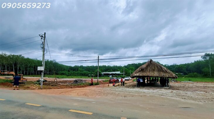 Cần bán gấp 650m2 (15×42) có 300m2 thổ cư tại DT750 – Long hòa DầuTiếng