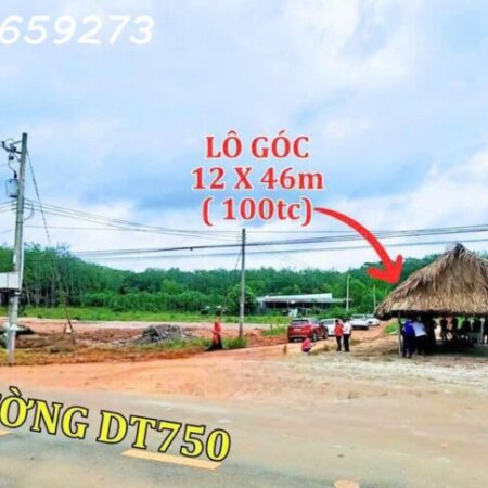 Cần bán gấp 650m2 (15×42) có 300m2 thổ cư tại DT750 – Long hòa DầuTiếng