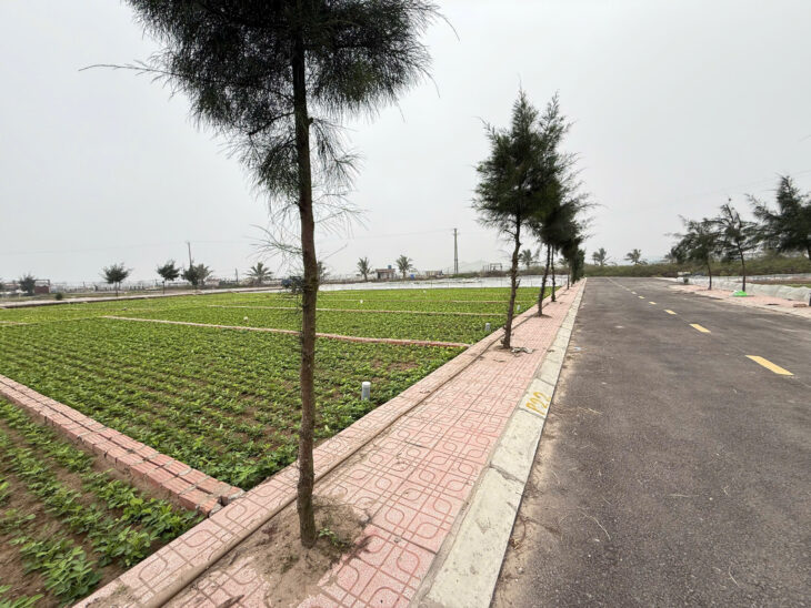 Em cần bán lô đất quất lâm sát biển 90m2 chỉ 1.5 tỷ thôi ạ!