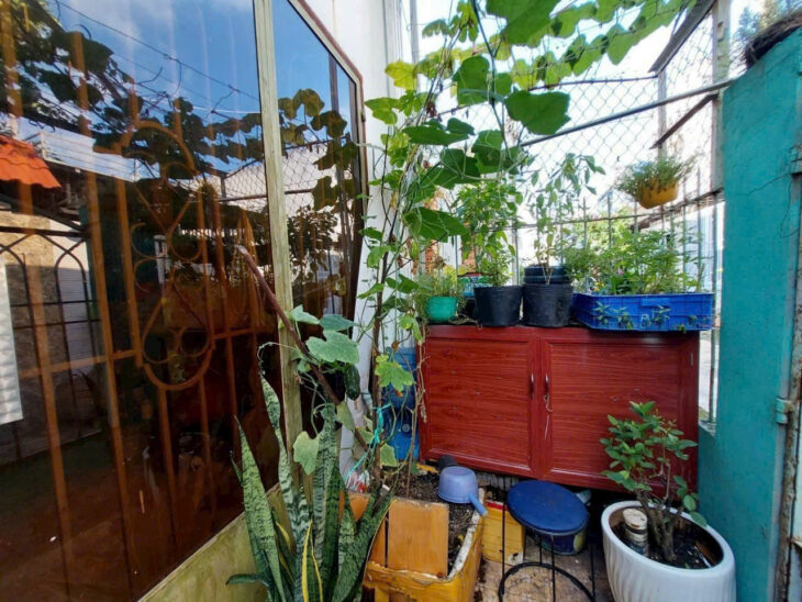 ĐẤT LỚN (5.3×26) NGUYỄN VĂN QUÁ – CHUẨN XÂY CĂN HỘ DỊCH VỤ GIÁ CHỈ 5.79 TỶ