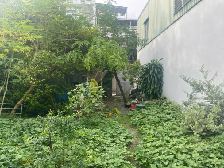 HÀNG KÍN – ĐẤT HIẾM FULL THỔ CƯ 383m² – ĐÔNG HƯNG THUẬN 17, Q12