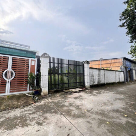 ĐẤT THỔ CƯ (15×28) TRUNG TÂM TÂN HIỆP – HÓC MÔN – GẦN CHỢ, GIÁ CỰC MỀM‼️