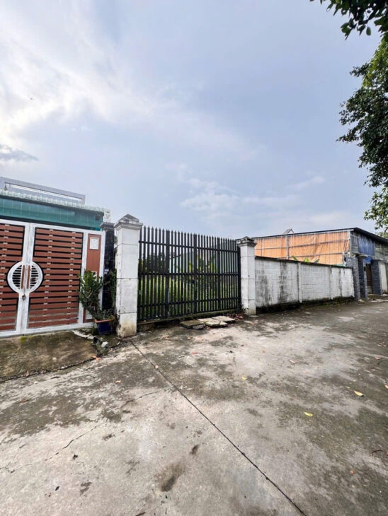 ĐẤT THỔ CƯ (15×28) TRUNG TÂM TÂN HIỆP – HÓC MÔN – GẦN CHỢ, GIÁ CỰC MỀM‼️