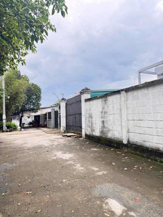 ĐẤT THỔ CƯ (15×28) TRUNG TÂM TÂN HIỆP – HÓC MÔN – GẦN CHỢ, GIÁ CỰC MỀM‼️
