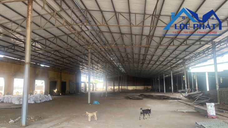 Cho thuê xưởng 5500m2 xã Quang Trung, huyện Thống Nhất Đồng Nai 150tr