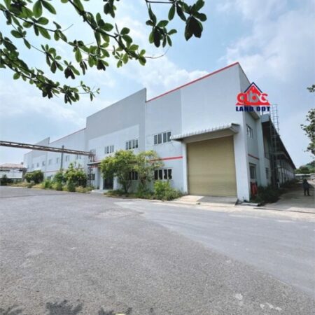 XT592 nhà xưởng sản xuất cho thuê linh hoạt nhiều ngành nghề, bàn giao hoạt động liền