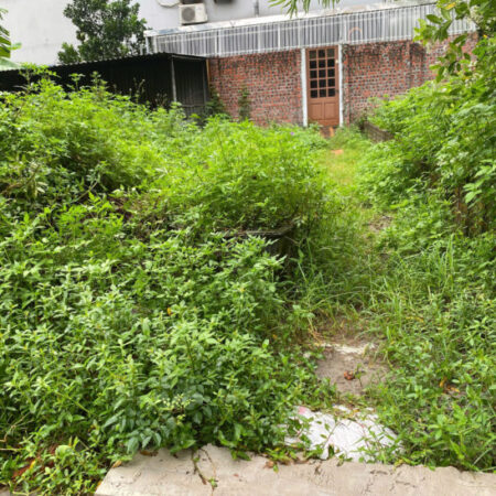 Bán đất Mai Lâm Đông Anh- Hàng xóm Vin Cổ Loa- Trục lên Cầu Tứ Liên- oto- 50m-5,x tỷ Bán đất Mai Lâm Đông Anh- Hàng xóm Vin Cổ Loa- Trục lên Cầu Tứ Liên- oto- 50m-5,x tỷ