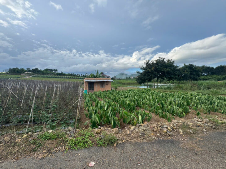 Cần bán 12 lô đất. Xã Phú Hội, Xã Ninh Gia, xã Tà Hine. xã Lạc Dương. Lâm Đồng.