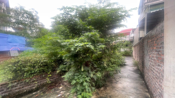 Chính chủ cần bán 30 m2 Đông Mai- hà Đông ( phường Yên Nghĩa mới), giá chỉ 2 tỷ, LH 0985865658