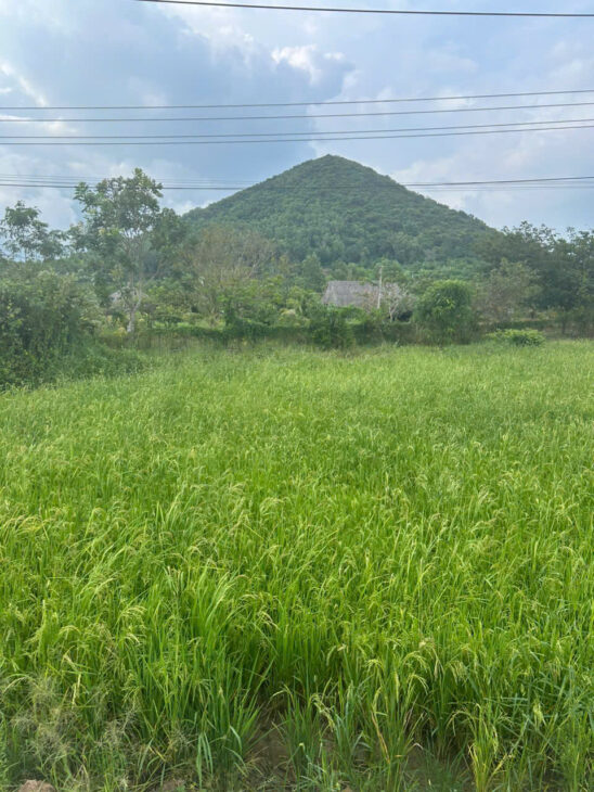 Bán 912m2 dất 2 mặt đường Nguyễn Minh Châu – Tân Hải – LaGi giá ngộp 900tr