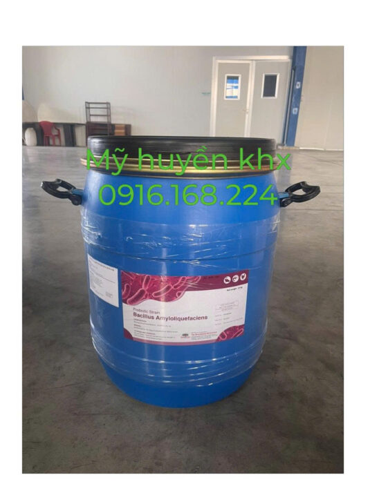 Bacillus Amyloliquefaciens – Vi sinh gốc Ấn Độ siêu mạnh xử lý đáy & nước ao!