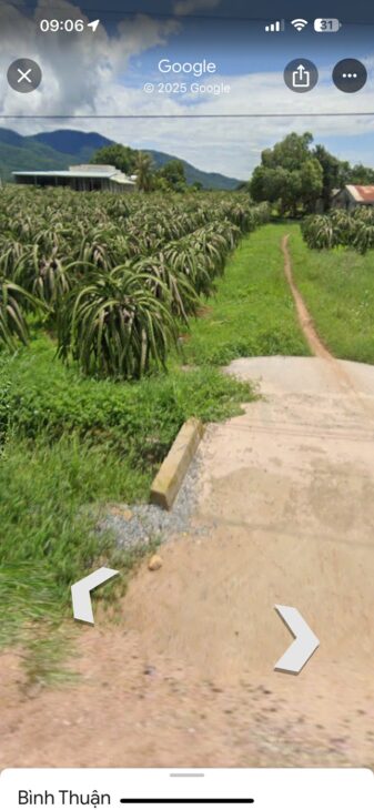 ĐẤT ĐẸP – GIÁ TỐT – CHÍNH CHỦ Cần Bán Nhanh Lô Đất Hàm Thạnh, Hàm Thuận Nam, Bình Thuận.