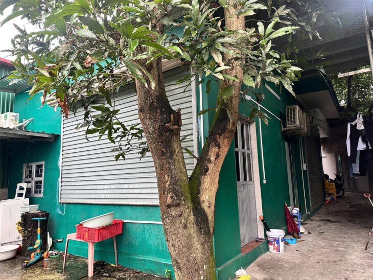 ĐẤT ĐẸP- GIÁ TỐT ĐẦU TƯ LÀ SINH LỜI cần bán nhanh lô đất tặng nhà tại thị xã Từ Sơn, tỉnh Bắc Ninh