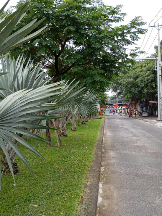 Tìm nhà đầu tư giữ tiền, 788,5m2, 38 tỷ, nhà hiếm giáp trung tâm