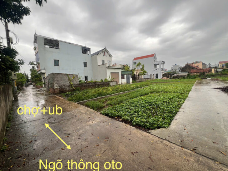 CHÍNH CHỦ BÁN LÔ ĐẤT 80,2M² – XÓM 2 GẦN CHỢ CHƯƠNG DƯƠNG, XÃ CHƯƠNG DƯƠNG, HUYỆN THƯỜNG TÍN (CŨ),