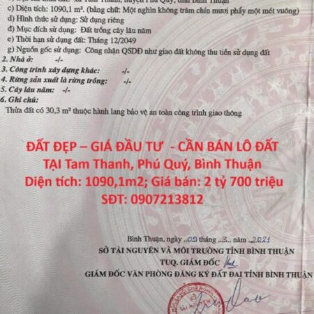 ĐẤT ĐẸP – GIÁ ĐẦU TƯ – CẦN BÁN LÔ ĐẤT TẠI Tam Thanh, Phú Quý, Bình Thuận