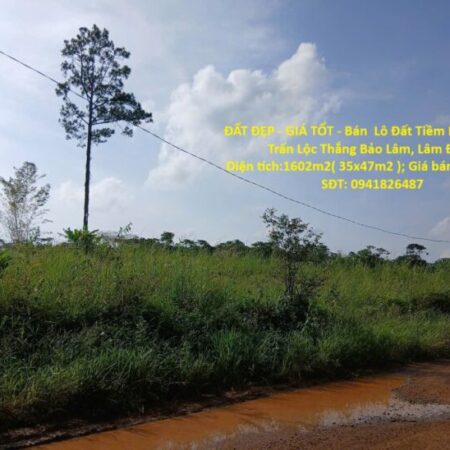 ĐẤT ĐẸP – GIÁ TỐT – Bán Lô Đất Tiềm Năng Tại Thị Trấn Lộc Thắng Bảo Lâm, Lâm Đồng