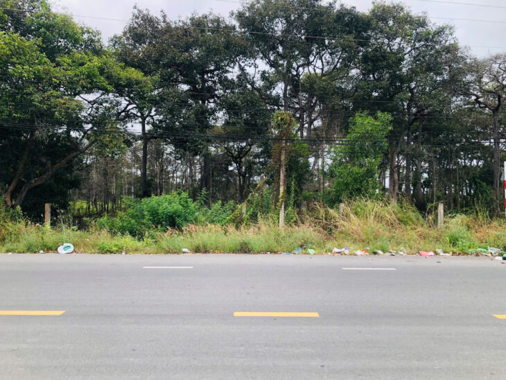 Bán 6m x 16m đất ODT Mặt tiền Nguyễn Tri Phương – Tân Bình -LaGi giá gốc gần Biển