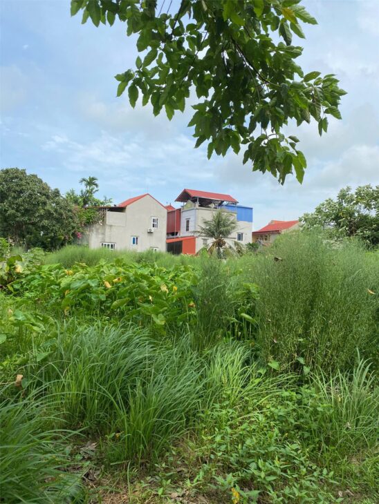 CHÍNH CHỦ CẦN BÁN NHANH 02 LÔ Đất Đường Đinh Tiên Hoàng, Hồng Vân, Thường Tín, Hà Nội