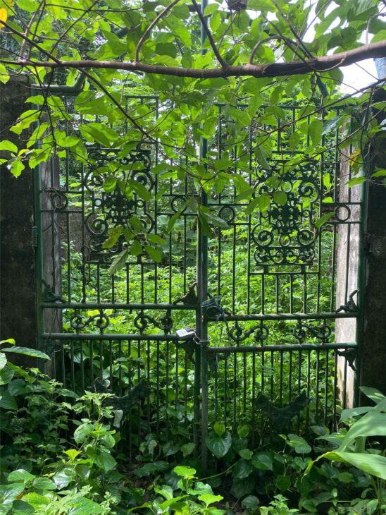 CHÍNH CHỦ CẦN BÁN NHANH 02 LÔ Đất Đường Đinh Tiên Hoàng, Hồng Vân, Thường Tín, Hà Nội