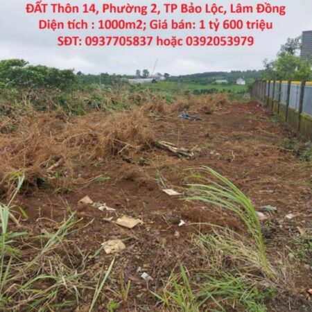 ĐẤT ĐẸP – GIÁ TỐT- CHÍNH CHỦ CẦN BÁN CĂN LÔ ĐẤT Thôn 14, Phường 2, TP Bảo Lộc, Lâm Đồng
