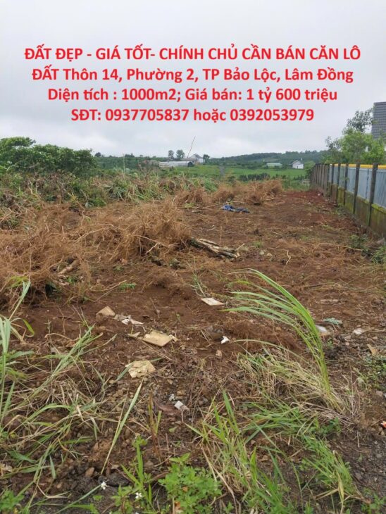 ĐẤT ĐẸP – GIÁ TỐT- CHÍNH CHỦ CẦN BÁN CĂN LÔ ĐẤT Thôn 14, Phường 2, TP Bảo Lộc, Lâm Đồng