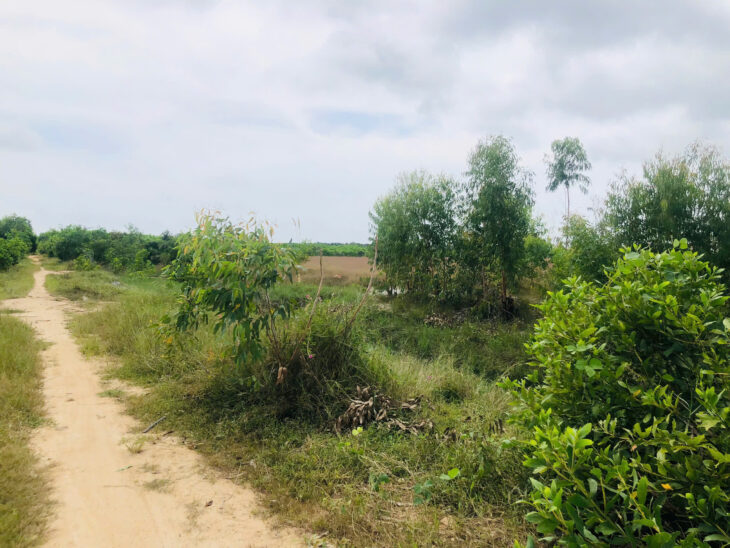 Bán 1000m2 đất gần Biển Tân Bình, LaGi có 400m2 thổ cư giá rẻ