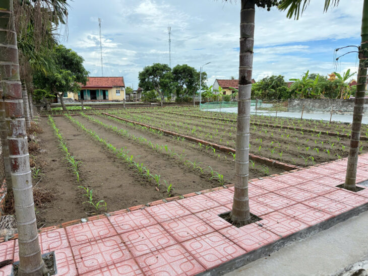 Chính chủ bán 80m2 mặt tiền 5.7m ngay sát quảng trường biển Quất lâm và khu nghỉ dưỡng sinh thái