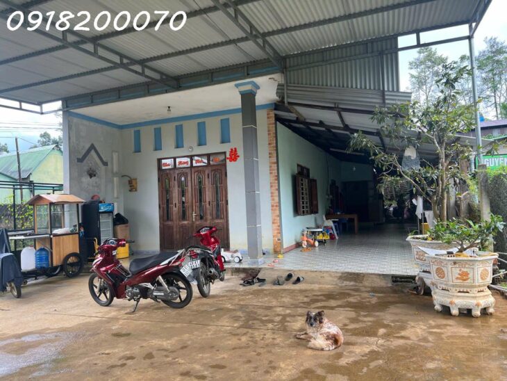 Chính chủ cần bán nhà đang ở tại Bảo Lộc, Lâm Đồng