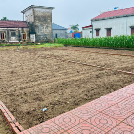 Bán 200m2 đất quất lâm mặt tiền 7m ô tô đỗ gần Flamingo và vsip hải long 1.100 ha Bán 200m2 đất quất lâm mặt tiền 7m ô tô đỗ gần Flamingo và vsip hải long 1.100 ha