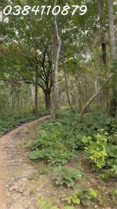 🌟 CHUYỂN NHƯỢNG 160 HECTA ĐẤT DỰ ÁN – HÀM TÂN, BÌNH THUẬN 🌟