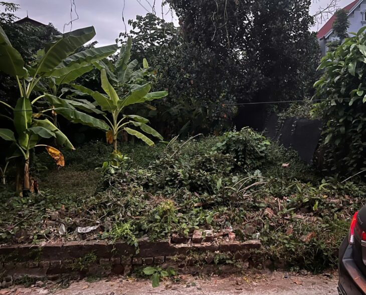 ĐẤT ĐẸP – GIÁ TỐT – CHÍNH CHỦ CẦN BÁN NHANH Lô Đất Vị Trí Đắc Địa Hậu Sơn Hoài, Tân Minh, Sóc Sơn