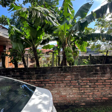 Bán đất cực đẹp Chương Dương, Thường Tín cạnh Vin Plympic Bán đất cực đẹp Chương Dương, Thường Tín cạnh Vin Plympic