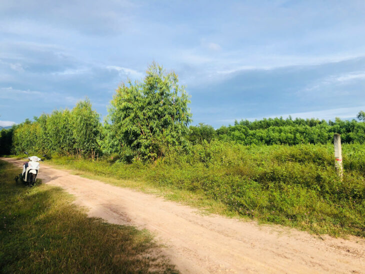 Bán 2.5 sào đất 2 mặt đường số 8 – Tân Hà – Hàm Tân giá mềm 36tr/m ngang