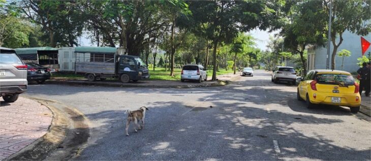 D400 bán rẻ lô đất đẹp khu dân cư đông đúc, khu vực trung tâm thuận tiện nhiều KCN