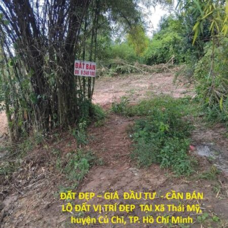 ĐẤT ĐẸP – GIÁ ĐẦU TƯ – CẦN BÁN LÔ ĐẤT VỊ TRÍ ĐẸP TẠI Xã Thái Mỹ, huyện Củ Chi, TP. Hồ Chí Minh ĐẤT ĐẸP – GIÁ ĐẦU TƯ – CẦN BÁN LÔ ĐẤT VỊ TRÍ ĐẸP TẠI Xã Thái Mỹ, huyện Củ Chi, TP. Hồ Chí Minh