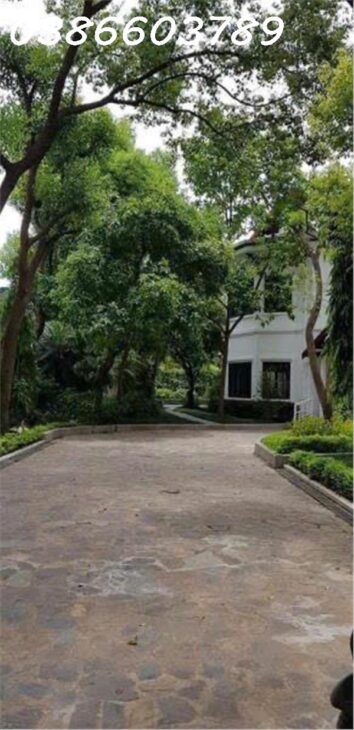 238m² – Ngọc Thuỵ – MT 40m – 3 tầng – Giá 230 tỷ