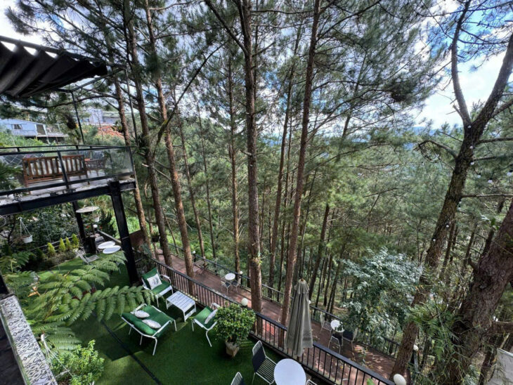 CHO NHÀ NGUYÊN CĂN KQH Hạt Nhân Đà Lạt Phường 10 Đà Lat