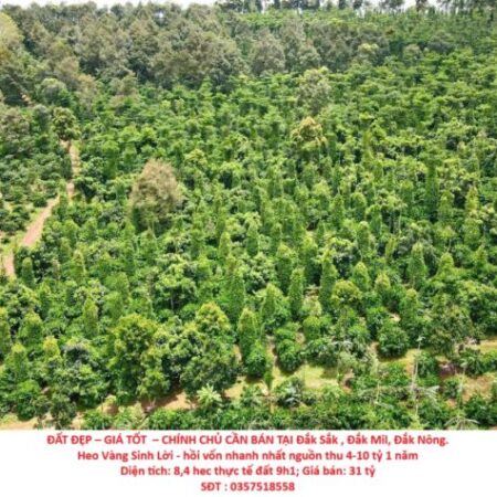 ĐẤT ĐẸP – GIÁ TỐT – CHÍNH CHỦ CẦN BÁN Lô Đất Tại Đắk Sắk , Đắk Mil, Đắk Nông