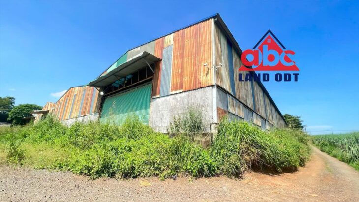 chuyển nhượng nhà xưởng đang cho thuê, khung thép kiên cố, xa dân cư phù hợp SX ngày đêm