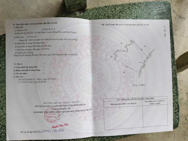 CHÍNH CHỦ CẦN BÁN 1 MẪU 2 ĐẤT VƯỜN ĐIỀU – SÁT TRỤC ĐƯỜNG ĐT 753 – ĐỒNG PHÚ, BÌNH PHƯỚC